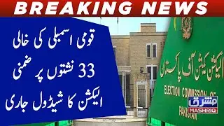 Qomi assembly ki khali 33 nashto par zimni election ka schedule jari