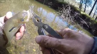 Little Seneca Creek Fishing 2019