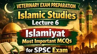 Islamic Studies lecture 6| Islamiyat MCQS for Competitive Exams| Islamiyat Portion for VO SPSC