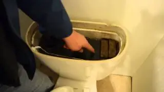 Attica NY Well Water IRON/Sulfur Bacteria signs in toilet