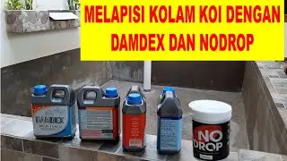 Melapisi Kolam Koi dengan Damdex dan NoDrop || Cara Buat Kolam Ikan Koi Tidak Bocor || JustHeru