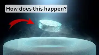 The Phenomenon of the Meissner Effect: Magnetic Field Expulsion in Superconductors | SGK English