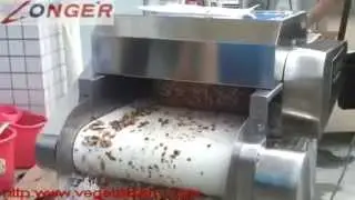 Dried Fruit Cutting Machine for date|kiwi|apricots|apple