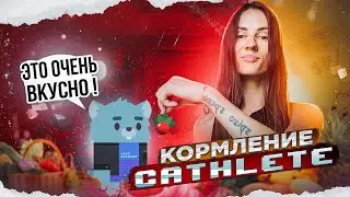 WALKEN | КОРМЛЕНИЕ CAThlete| ЖИЗНЕННЫЙ ЦИКЛ