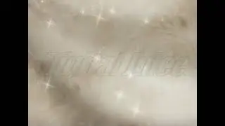 Digital Juice Volume 4 Wedding - Star For the Day