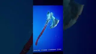 Do you have this pickaxe?