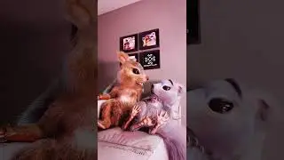 Сумасшедшая белка