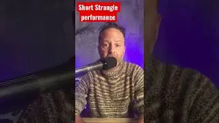 Short Strangle Options Spread Performance #shortstrangle #stranglestrategy