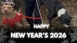 (VLOG#59)!! New year पर new शुरवात
