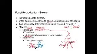 Fungi - Reproduction