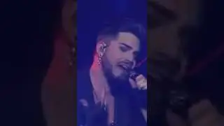 #queen #show #live #adamlambert #music #shortsfeed #shorts #short