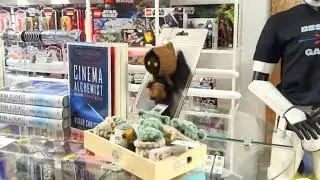 Toronto's Star Wars Retail Toys & Collectibles Store Walkthrough - March 22nd 2025 | 4th Moon Toys