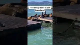 SAVE this if you want to visit San Francisco soon!📌 1