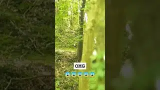 real life pixie filmed | real pixie Sightings #fairies #alien #thepixies #mythicalcreature #nature