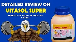 Detailed Review On Vitasol Super Multivitamin Supplement | Benefits Of Using In Poultry & Birds
