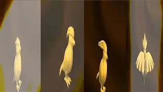 Pokemon X Digimon - Pidgey Evolution
