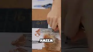 See now buy now- увидел на подиуме и сразу купил! #буднидизайнера