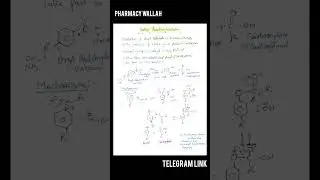 Dakin Reaction With Mechanism  | | organic Chemistry #shoerts #pharmacy