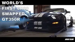 First GT350 with 6r80 swap in the world.