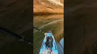 Lake Powell #lake #hike #utah #arizona #lakepowell #paddleboarding #kayaking #kayak #peace #water