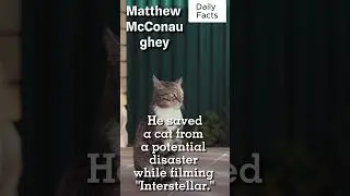 McConaughey's Interstellar Heroics: Rescuing a Feline Co-Star #facts #actor #cats #music