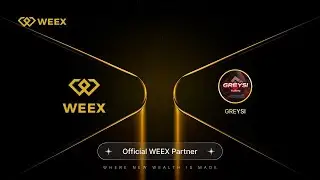 WEEX &mdash; новая ТОП биржа 2025