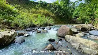 🌿 Sleep Better Tonight With Soft Rocky River Sounds 4K (17 HOURS). Natural Forest Ambience