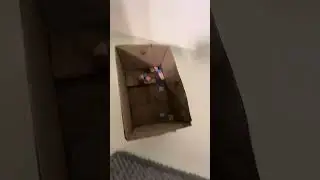 The CardborTanic sinking