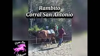 Rambito 🆚Zancudo 📍Centro Hipico Hern&aacute;n Toledo🏇14/12/2024