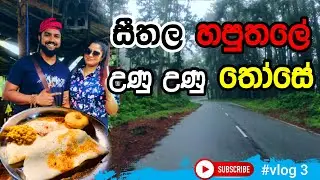 හපුතලෙන් කාපු සුපිරිම තෝසෙ - Gema With Gemi ගැමා with ගැමී #vlog 03#travel #travelvlog #srilanka