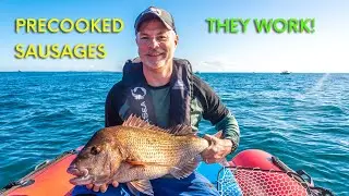 I would never have believed it - snapper and kingfish go nuts for precooked sausages.
