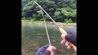 0201_KFT千夜釣行_KFT Thousand Nights Fishing Trip
