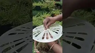 portulaca /moss rose /tree shape /plastic reuse/kabad se jugad #terrace garden #short video