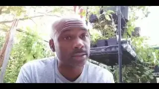 Racism vs Perceptionism