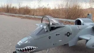 A-10 Thunderbolt - Warthog