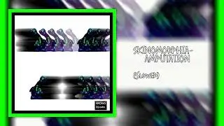 Skinomorphia - Amputation (Slowed)