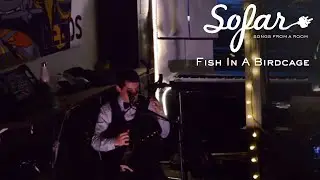 Fish In A Birdcage - Rule #12 Through The Tides | Sofar Victoria