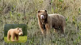 Las artesanas del oso dorado