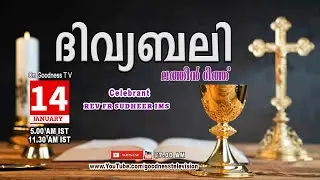HOLY MASS MALAYALAM | 14 JAN 2026 |LATIN MASS  |Rev Fr Sudheer IMS  |TODAY LIVE MASS |GOODNESS TV