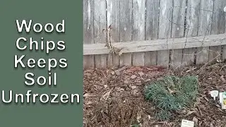 Mulch Wood Chips Keeps Your Soil Unfrozen