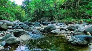 Flowing Water Noise, Mountain Stream Forest River, Sleeping