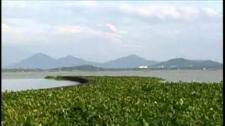 Save Laguna Lake