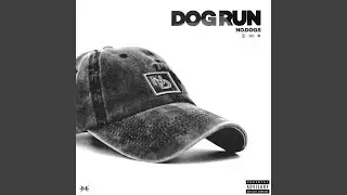 DOG RUN