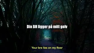 D&ouml;d Mark - Min Dag (Swedish Lyrics + English Translation)