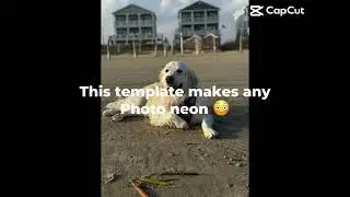 &ldquo;This is my dog Jerry&rdquo;