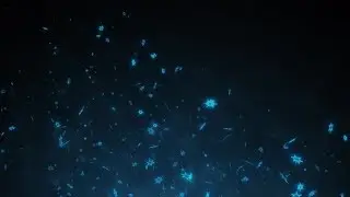 Magic snow falling winter snowflakes | Motion Graphics - Videohive template