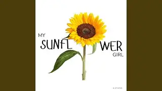 My Sunflower Girl