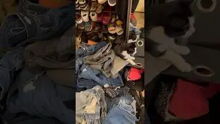 DECLUTTERING motivation #organize #declutter #shorts #fyp #organization