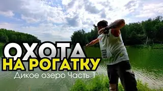 ОХОТА НА РОГАТКУ на диком ОЗЕРЕ Часть 1