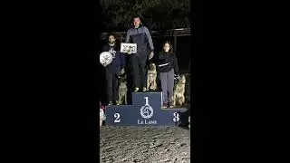 Hammer the Jackhummer (Malinois) - Obedience classe 3